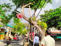 PKN Karangasem Geram Satpol PP Copot Bendera Parpol
