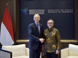 Harapan Pemerintah ke Tony Blair agar Dukung Lawan UU Deforestasi Eropa