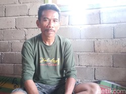 Cerita Kai Daud Usai Dipatuk Ular King Cobra di Gorontalo