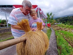 Bule-bule Dibuat Penasaran Sama Beras Merah di Bali, Ini Kisahnya