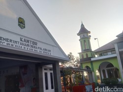 Bukti Majalengka Dulunya Lautan: Temuan Gigi Megalodon-Batu Karang