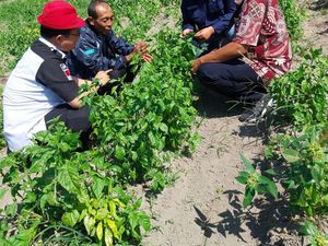 Antisipasi El Nino, Kementan Validasi Data EWS Sipantara di 3 Provinsi Antisipasi El Nino, Kementan Validasi Data EWS Sipantara di 3 Provinsi