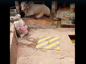 Pemkot Jaksel Akan Bangun Biogas Manfaatkan Limbah Kotoran Sapi Pancoran Pemkot Jaksel Akan Bangun Biogas Manfaatkan Limbah Kotoran Sapi Pancoran