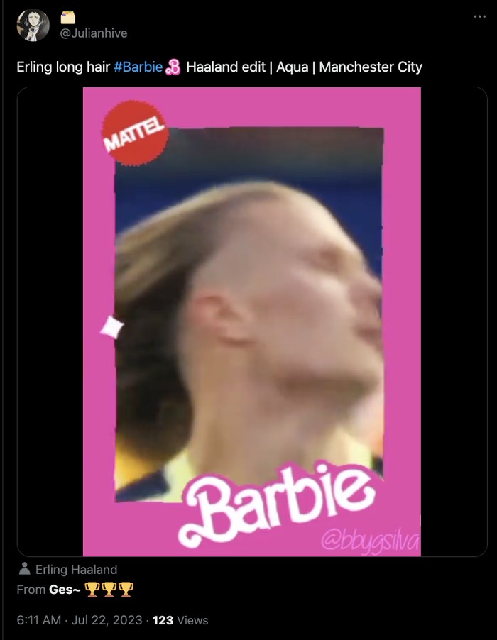 Erling Haaland Meme Erling Haaland Meme