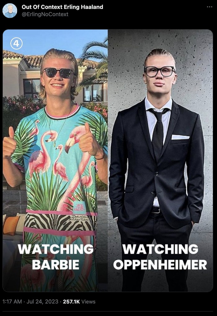 Erling Haaland Meme Erling Haaland Meme