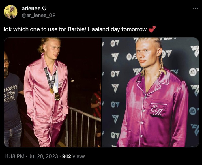 Erling Haaland Meme