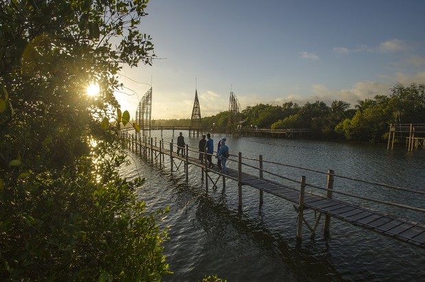 Hutan Mangrove Kulonprogo
