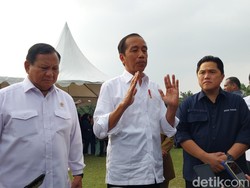 Respons Jokowi soal Disebut Rocky Gerung Bajingan: Itu Hal Kecil