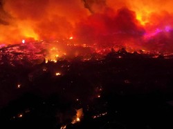 15 Orang Tewas Akibat Kebakaran Hutan di Afrika Utara