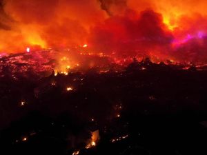 15 Orang Tewas Akibat Kebakaran Hutan di Afrika Utara 15 Orang Tewas Akibat Kebakaran Hutan di Afrika Utara