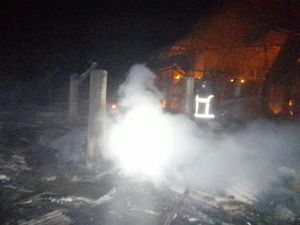 Api Lalap Kandang Ternak di Kuningan, 2.500 Ayam Mati Terpanggang