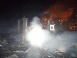 Api Lalap Kandang Ternak di Kuningan, 2.500 Ayam Mati Terpanggang