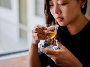 5 Minuman Sehat Ini Cocok Dikonsumsi Usai Makan Gorengan 5 Minuman Sehat Ini Cocok Dikonsumsi Usai Makan Gorengan