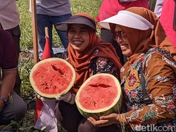 Melihat Festival Semangka yang Digelar di Demak