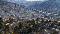 Potret Hutan di Yunani yang Gosong Usai Dilalap Api
