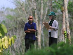 Hasil Sensus Pertanian 2023  Bantu Kedaulatan Pangan di Indonesia