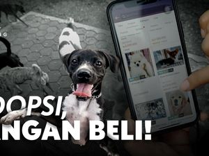 Adopsi, Jangan Beli! Adopsi, Jangan Beli!