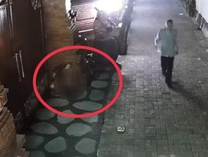 Aksi 2 Bule Wanita di Bali Pipis di Depan Rumah Kepala Lingkungan