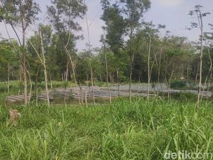 Melihat Calon Lokasi TPS Alternatif TPA Piyungan di Cangkringan Sleman Melihat Calon Lokasi TPS Alternatif TPA Piyungan di Cangkringan Sleman