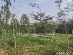 Polemik TPS Cangkringan yang Bakal Jadi Alternatif TPA Piyungan