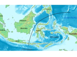 Ilmuwan Ungkap Sejarah Garis Wallace, Pembagi Indonesia Jadi 2 Wilayah