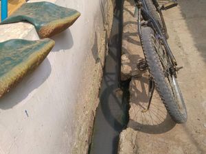 Lurah soal Penanganan Limbah Sapi Pancoran: Aliran Got Tak Hijau Lagi