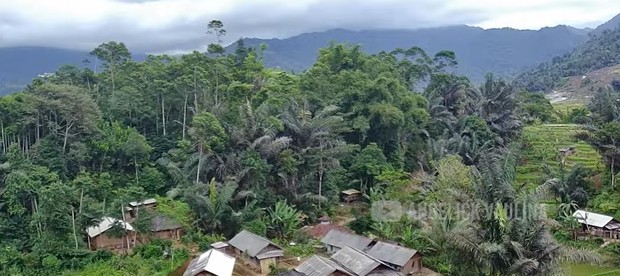 Kampung Adat Miduana/Foto: youtube.com/Angelick Vaulina Kampung Adat Miduana