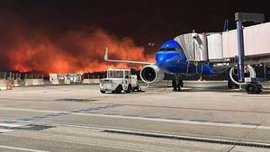 Kebakaran Landa Hutan di Dekat Bandara Palermo Italia