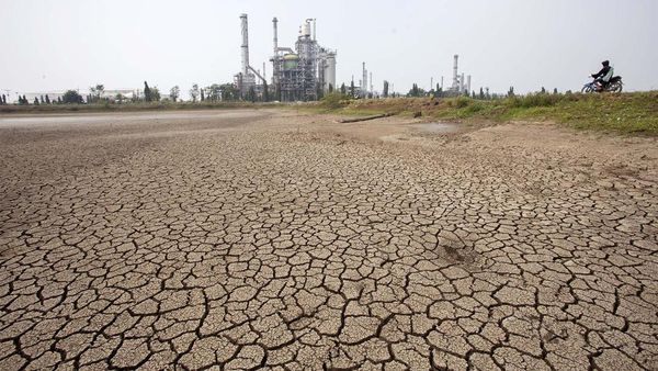 Kemarau, Waduk-Sawah Mengering di Indramayu