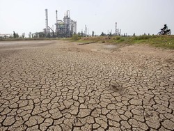 Stok Gula Nasional Terancam El Nino, Apa Solusinya?