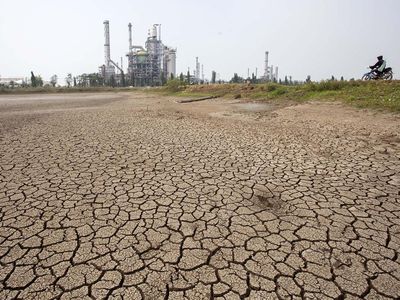 Kemarau, Waduk-Sawah Mengering di Indramayu