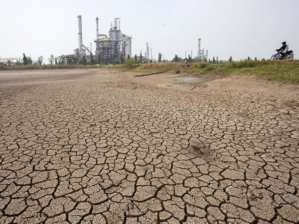 Kemarau, Waduk-Sawah Mengering di Indramayu