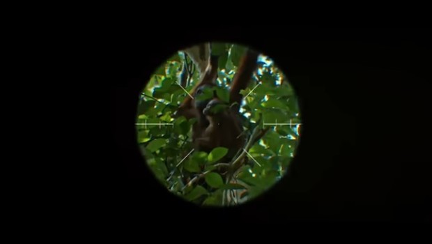 Orang Utan di Film Petualangan Sherina 2/Foto: YouTube/@filmpetualangansherina