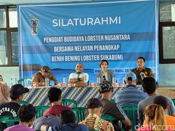 PBLN: Kerugian Negara gegara Benur Capai Rp 1,6 Triliun