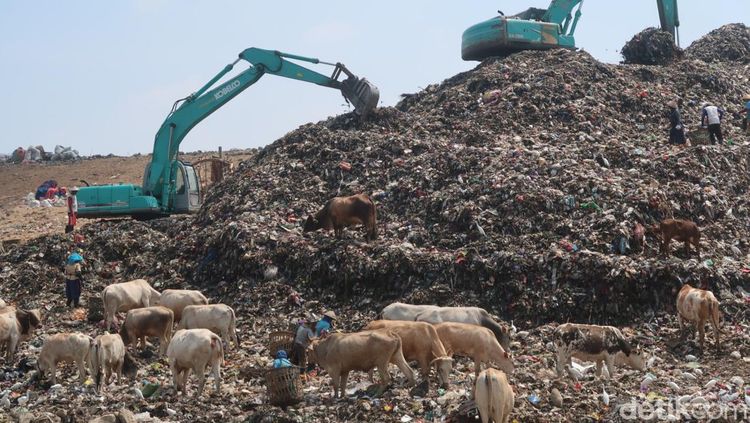 Revolusi Energi 7 Kota: Limbah 12 Ton Harian Diubah Jadi Listrik Berkelanjutan