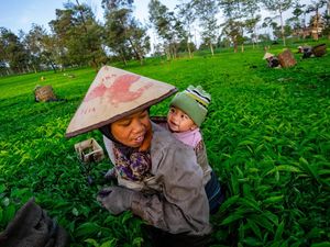 PNM Gelar Edukasi Kesehatan Gizi Anak untuk 15.000 Nasabah di RI