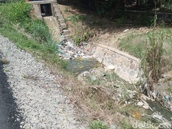 Setahun Saluran Irigasi Putus, Petani Madina Sengsara Tak Bisa Tanam Padi