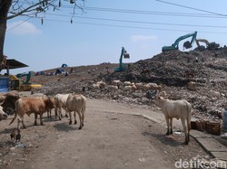 Melihat dari Dekat TPA Piyungan yang Lengang Usai Ditutup