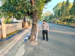 Hantam Pohon lalu Ditabrak Lari, Pengendara Motor Tewas