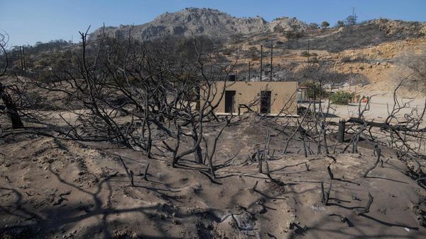 Tandusnya Pulau Wisata di Yunani Setelah Dilalap Kebakaran Hutan