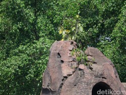 Tak Terawat, Tugu 10 Program PKK di Kota Bandung Ditumbuhi Pohon