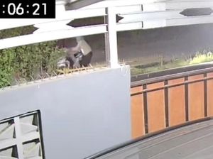 Wanita di Bogor Dibegal dalam Perumahan Usai Antar Suami, Polisi Selidiki