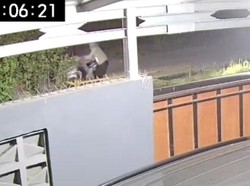 Wanita di Bogor Dibegal dalam Perumahan Usai Antar Suami, Polisi Selidiki