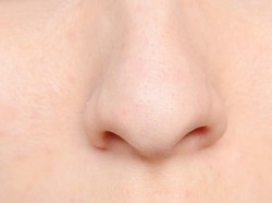 Lubang Hidung Kanan & Kiri Merespons Bau dengan Cara Berbeda, Begini Kata Riset