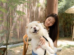 Membacakan Cerita ke Anjing Ternyata Bermanfaat untuk Anak, Ini Kata Studi Membacakan Cerita ke Anjing Ternyata Bermanfaat untuk Anak, Ini Kata Studi