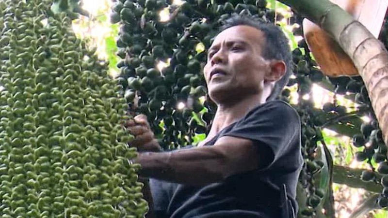 Bakti Nyoman Buruh Tani Rawat Kakak Disabilitas, Yuk Kita Bantu