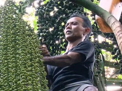 Bakti Nyoman Buruh Tani Rawat Kakak Disabilitas, Yuk Kita Bantu