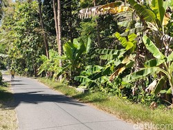 Begini Suasana di Kulur Kulon Progo Usai Sumber Bau Misterius Terungkap