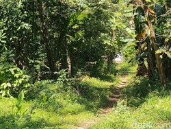 Penampakan Motor Tak Bertuan Pemicu Bau Misterius di Kulur Diduga Mayat