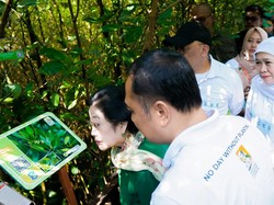 Khofifah Optimis Kebun Raya Mangrove Surabaya Kuatkan Wilayah Pesisir